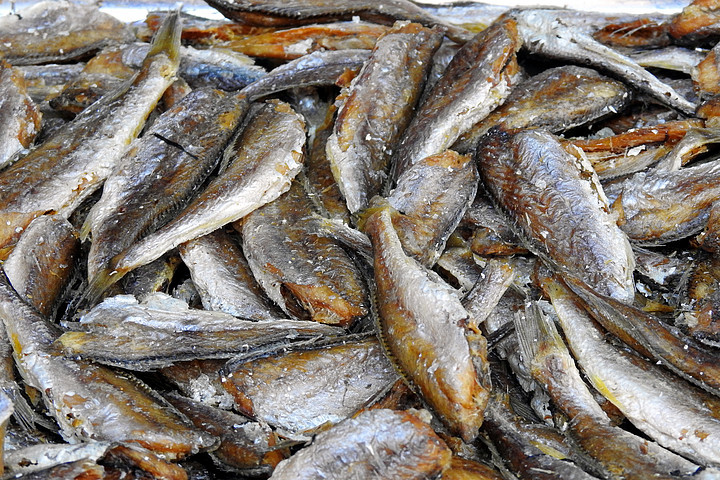 海鮮水產(chǎn) 營養(yǎng)與美味的海洋饋贈