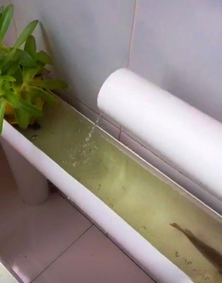 業主突發靈感:陽臺上造6米長&ldquo;人工河&rdquo;,能養魚養花就差養蝦了